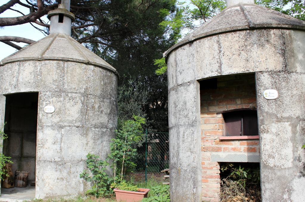 Il Querciolo - Azienda Biologica, Agriturismo E Cantina Marciano della Chiana Kültér fotó