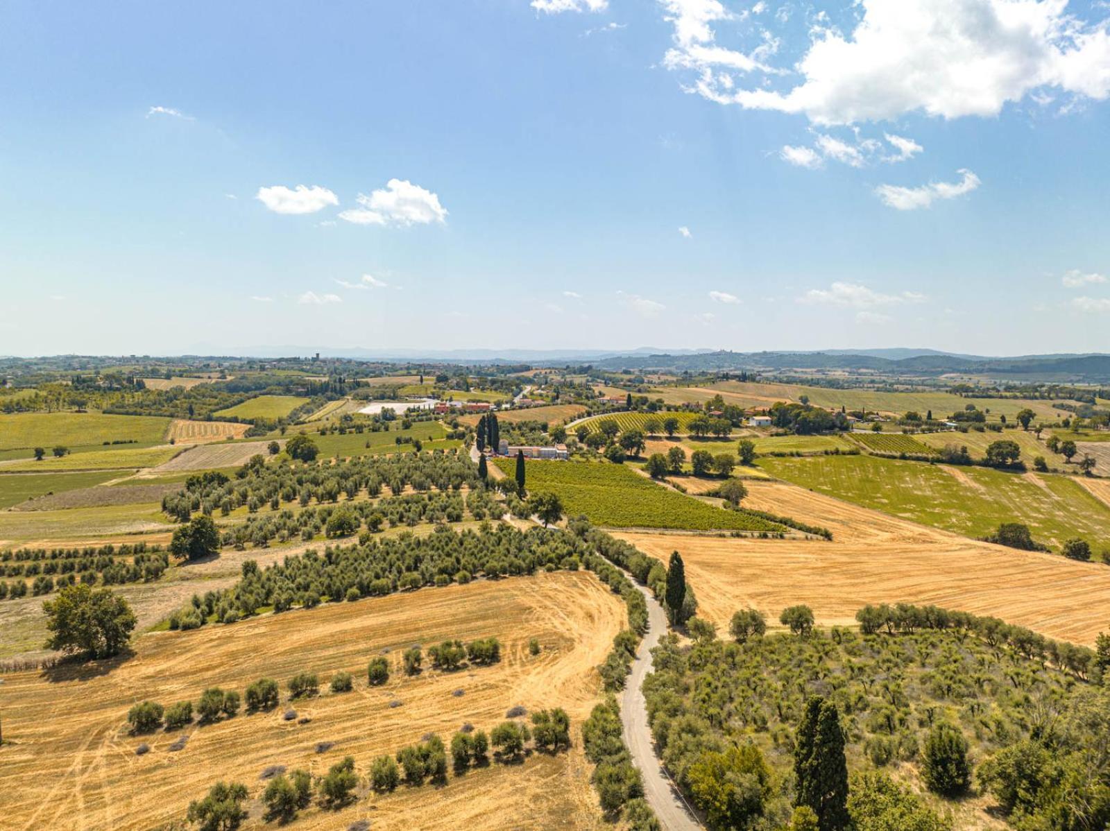Il Querciolo - Azienda Biologica, Agriturismo E Cantina Marciano della Chiana Kültér fotó